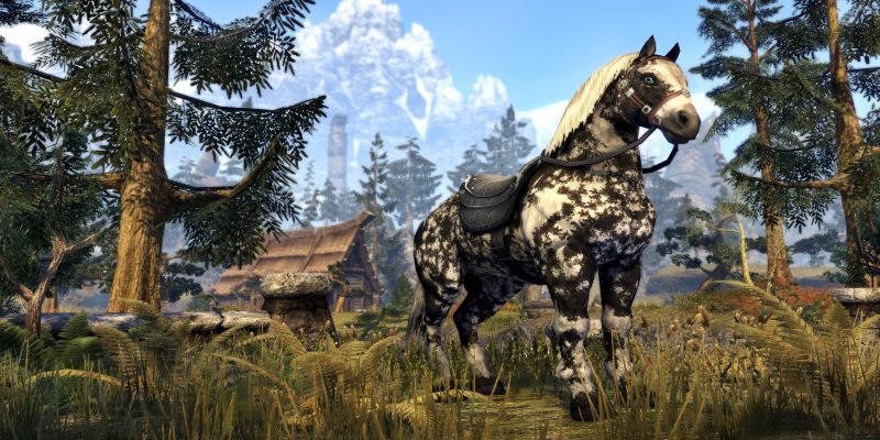 Eso How To Get A Horse Eso How To Get A Horse
