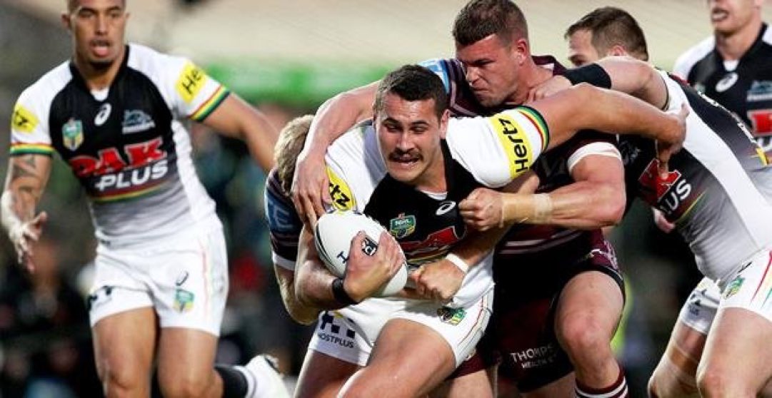 WindsorWolves's tweet image. So very proud of our junior Reagan Campbell-Gillard has become our 1st @PenrithPanthers player to be picked for the @Kangaroos #TheWolfPack