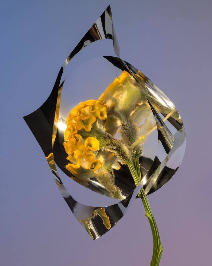 The still life experiments continue with reflections and disappearances. #bonsoirparis #wastedtime #experiment