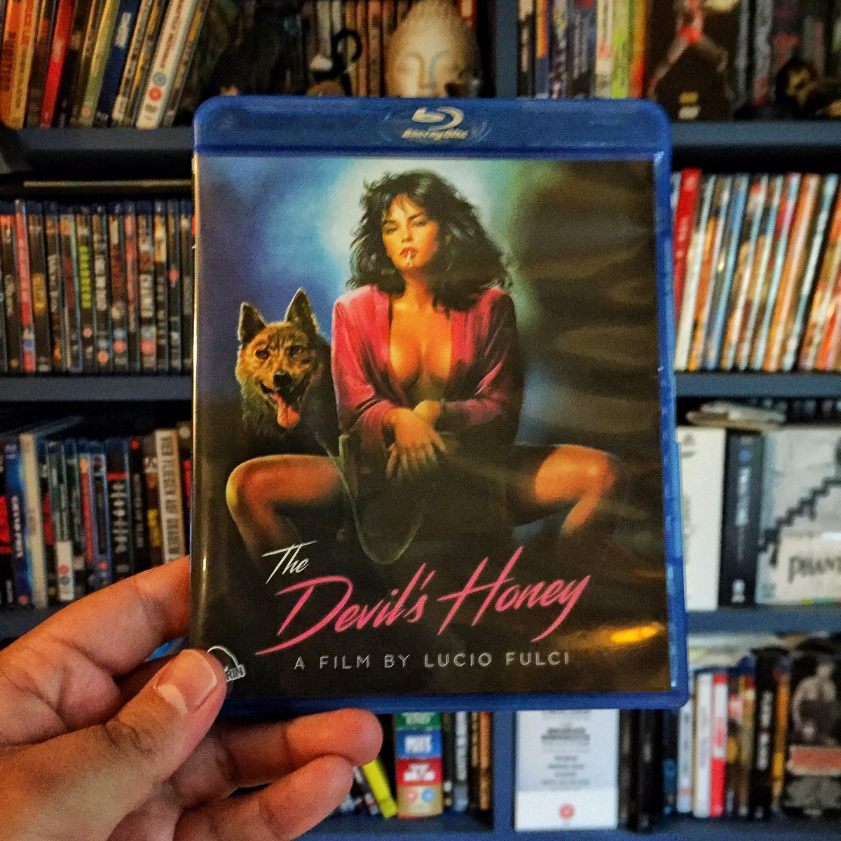 #TheDevilsHoney from @severinfilms looks beautiful. It's great to see how the more obscure Italian genre flicks is getting a revival!