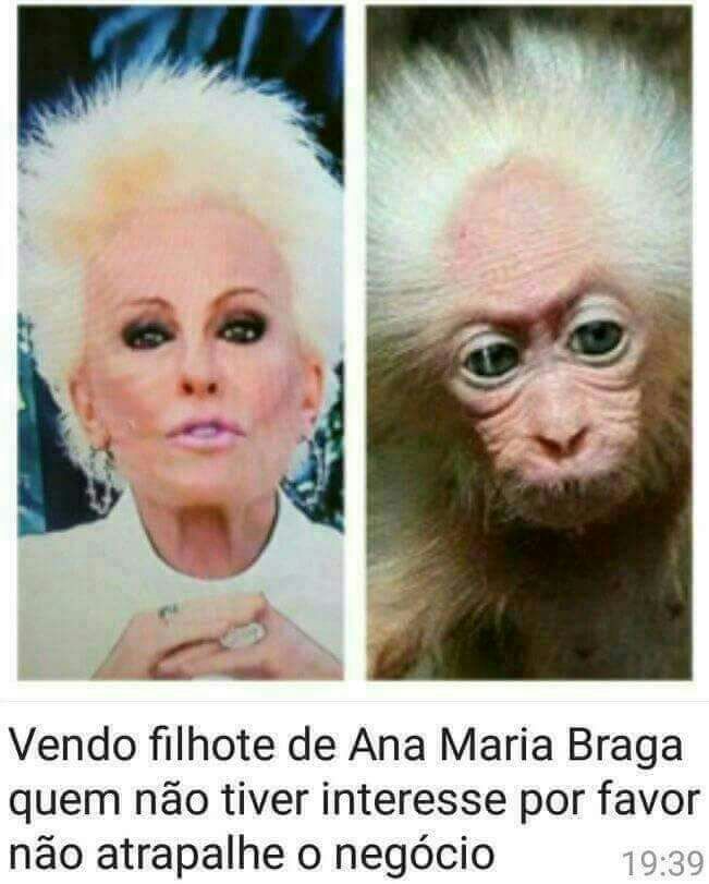 Hildner Mendes (@hildnermendes) on Twitter photo 