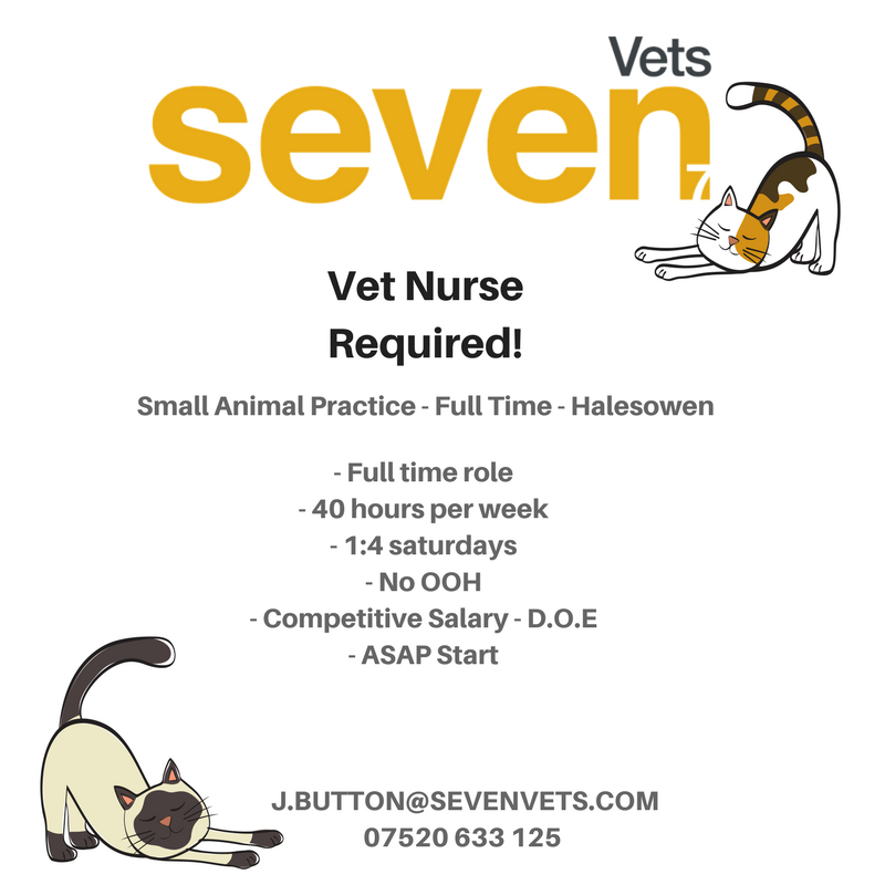 SevenVets tweet picture