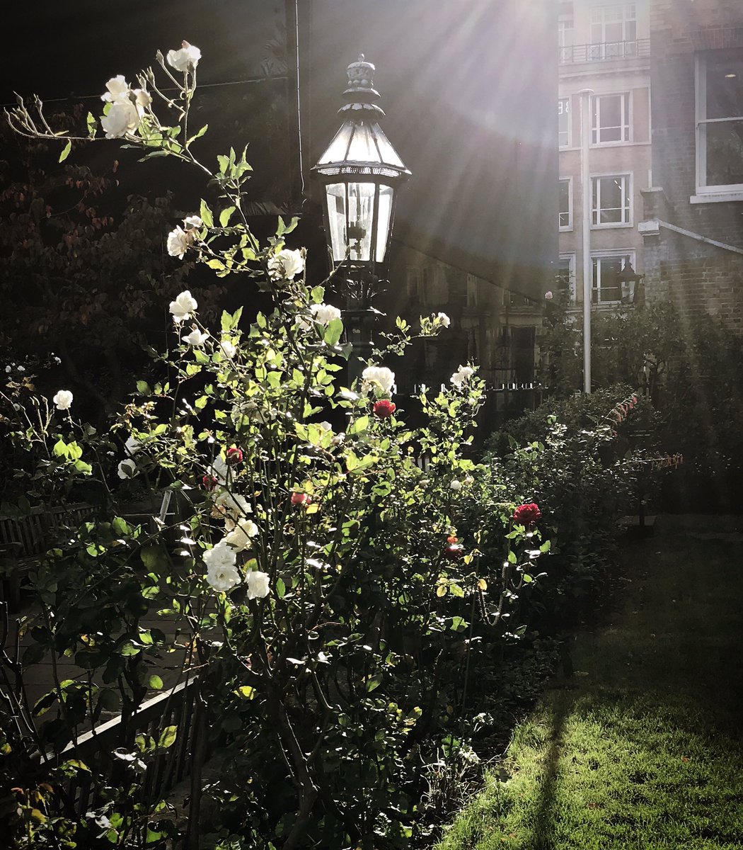 In the garden of St Paul's Church, #CoventGarden, you wouldn't believe you were within metres of the best oysters in London <a href="/theoystermen/">The Oystermen</a>