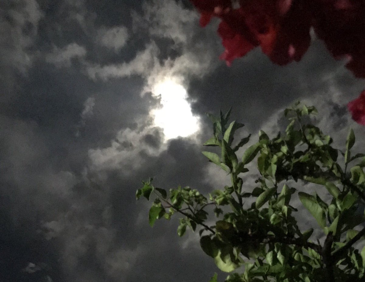 DilBhusanPathak's tweet photo. होस् त पुर्णिमा ठयाक्कै तिमी जस्तै ! #FullMoon #dashainover https://t.co/frmSd2TgRa
