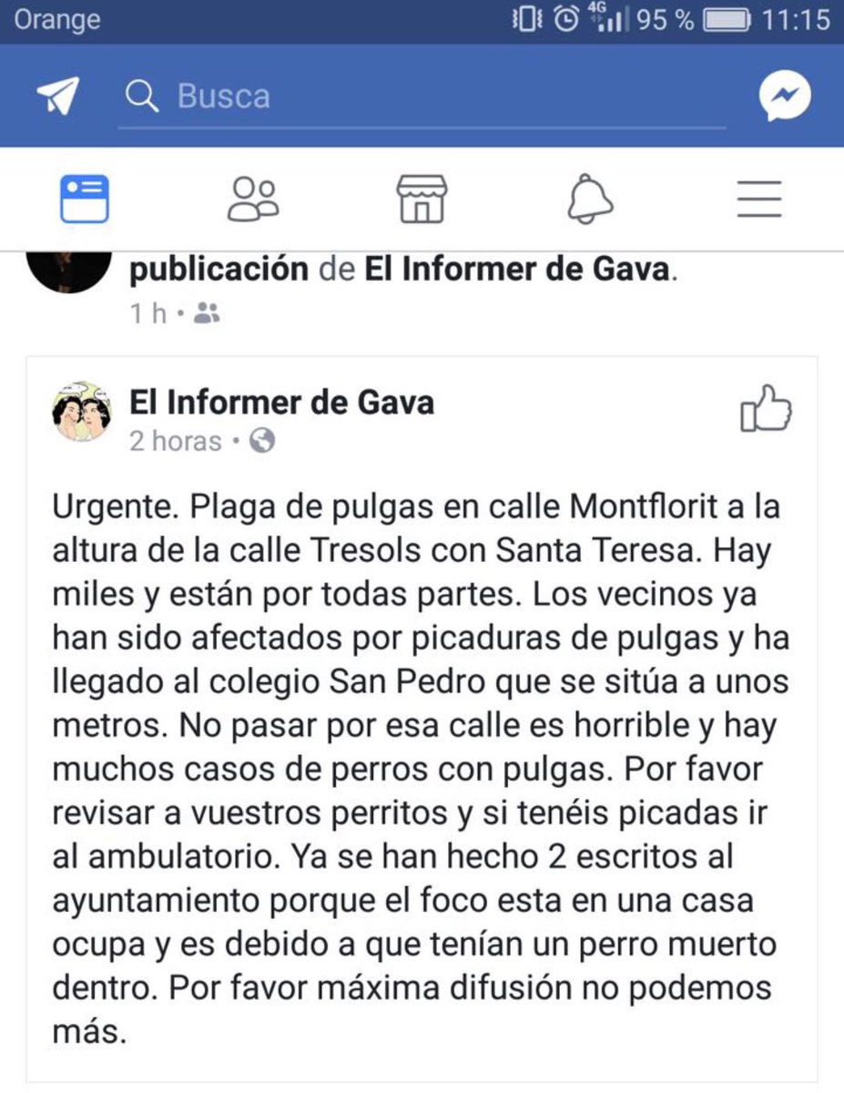 <a href="/AjuntamentGava/">Ajuntament de Gavà</a> bon dia, teniu constància?? Salut