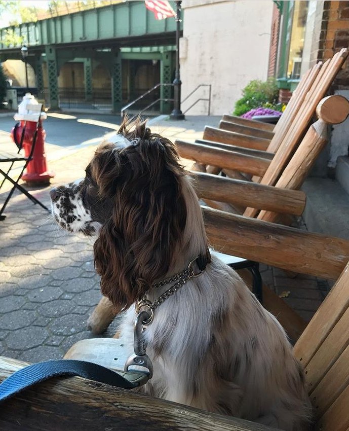 Who doesn't love downtown Cranford &amp; hanging at Track 5? #CoolerinCranford