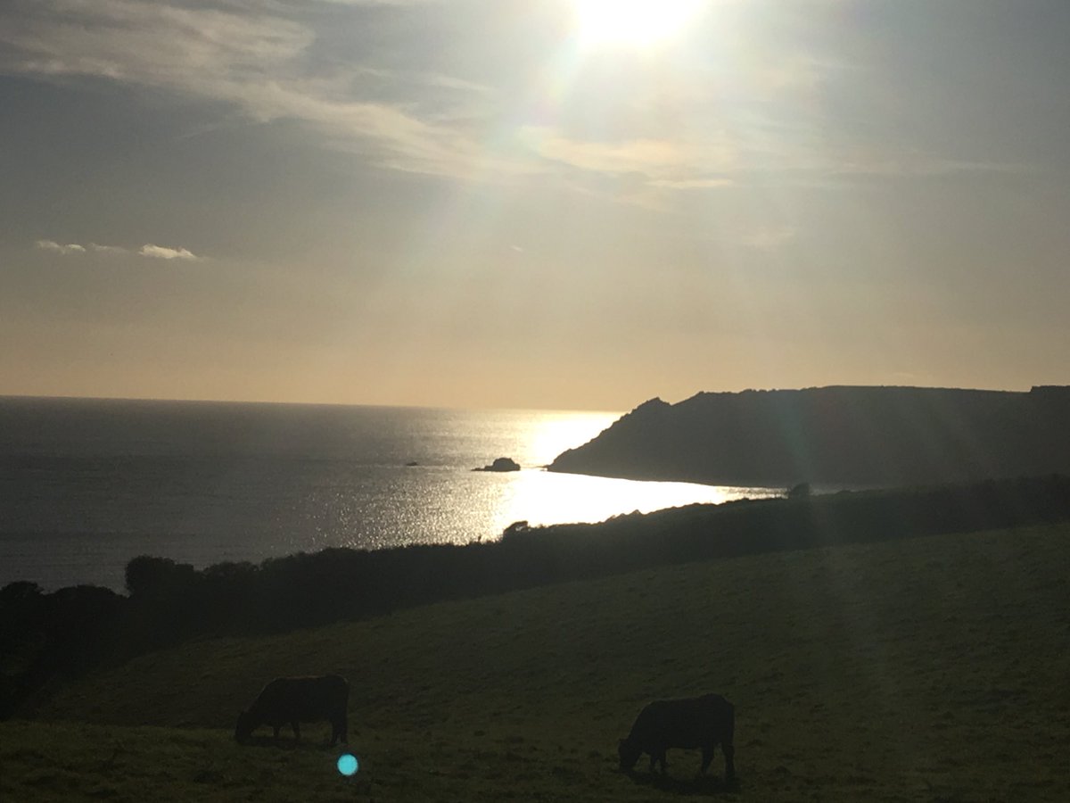BethTucker93's tweet photo. See the light as it shines on the sea. It’s blinding..

Music and lyrics courtesy of @Lin_Manuel 😉

#autumnevening #sunandsea #mooswithviews https://t.co/HyCruIrHb7
