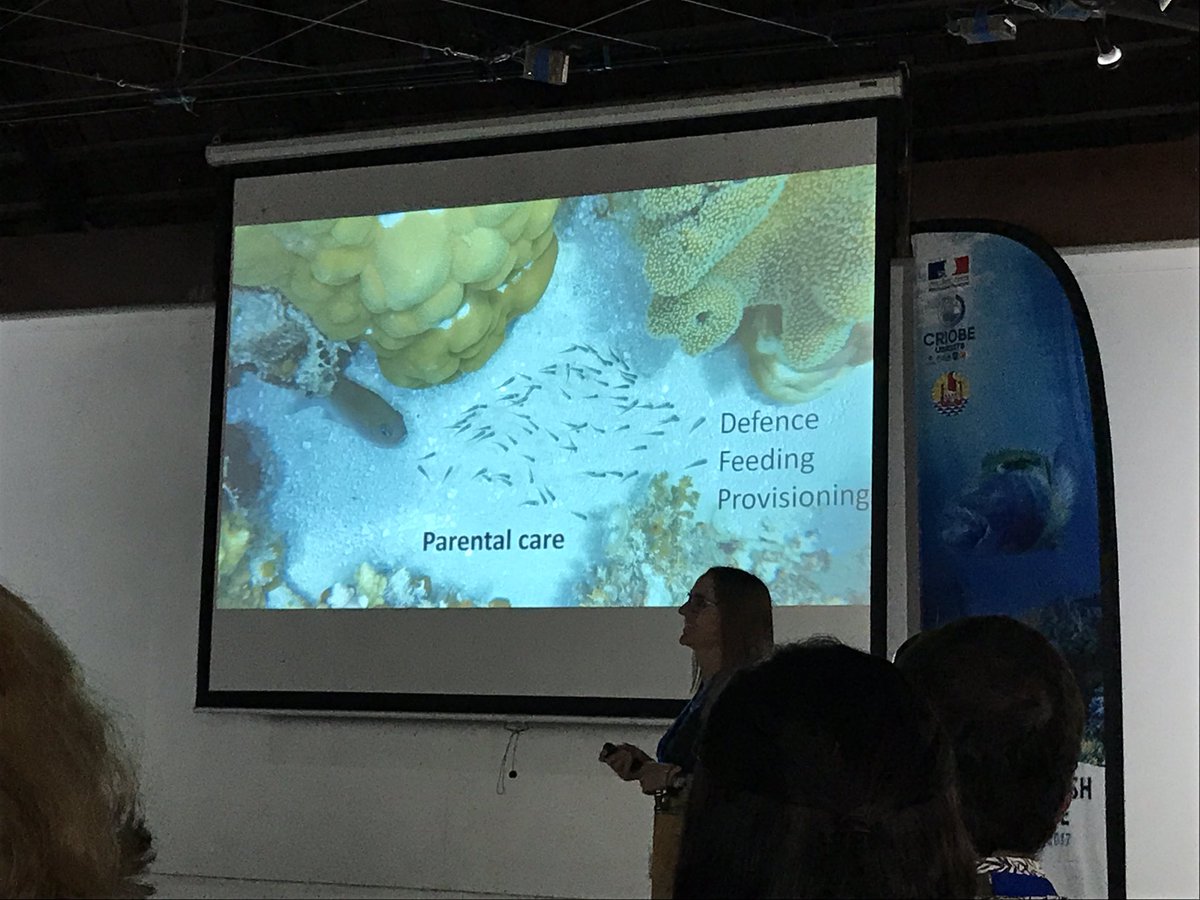 ScienceTaryn's tweet photo. Great to see some spiny damsels in a talk on boat noise by Sophie Nedelec #ipfc10 #teamApoly https://t.co/GqjcoAJvnk