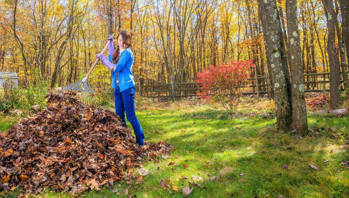 Tired of raking leaves? Come by for the best in blowers &amp; yard tools at the lowest price of the season. mgbuildingmaterials.com #lawncare