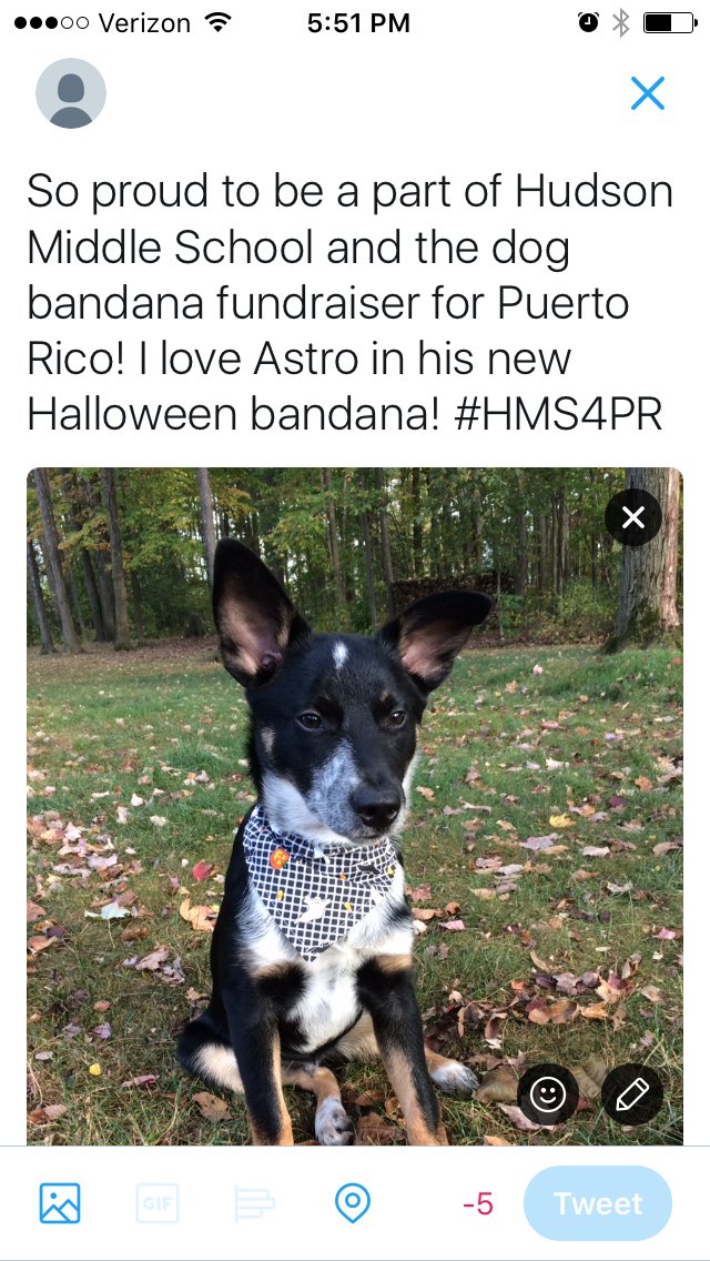 Beth Ginther (@bethginther) on Twitter photo 