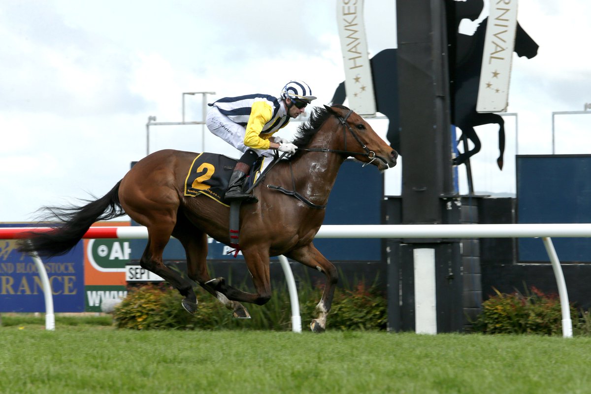 nzracingnews's tweet image. @PikeRacing have a line up to envy in HB Guineas. #AimSmart #Haussman #Bostonian #FeltonRoad all serious contenders. racingnews.co.nz/blog/post/2137…