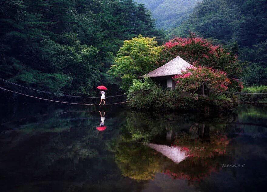 fiveelementshc's tweet photo. The 5 Elements in Chinese theory, we’re made up of :Wood, Fire, Earth, Metal and Water any of these can become unbalanced causing disease https://t.co/9GOahUjfir