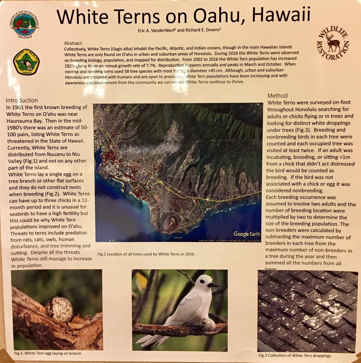 Here's another story of hope: ​Manu-o-Kū &amp; strong community engagement can make a difference! #EricVanderWerf and #RichardDowns #HITAI #hope