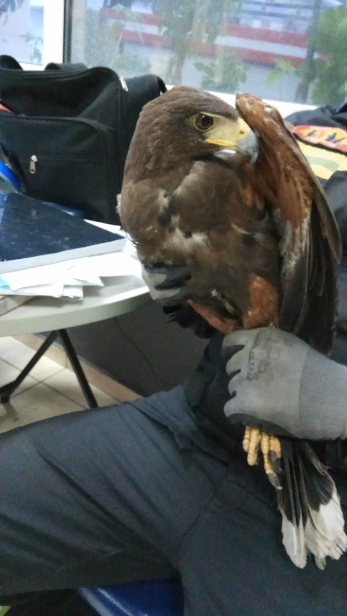 Γιάννης Χριστόπουλος tweet media