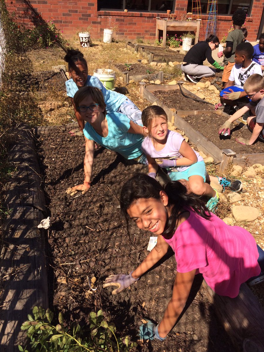 Stillartngarden's tweet photo. GG took the beautiful compost we started last fall 2 fertilize R beds 4 R fall planting! 🥕 lettuce cabbage radishes! @wemakecompost @MGVOCC https://t.co/CnrAqZnsbY