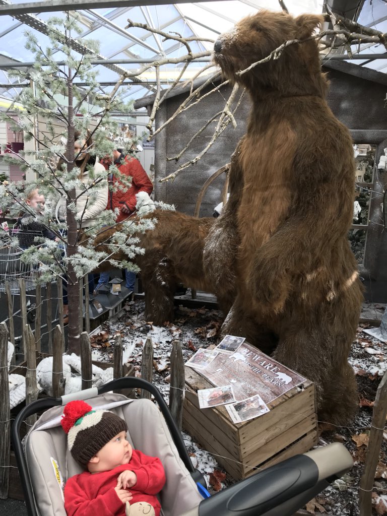 MrsStrongman's tweet photo. #creativegardensbigbear @GardenCentresNI https://t.co/UN69YFvHE4