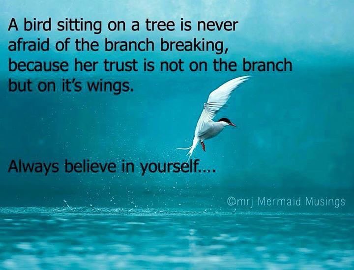 anativeheart's tweet photo. https://t.co/wYNwFL5v02