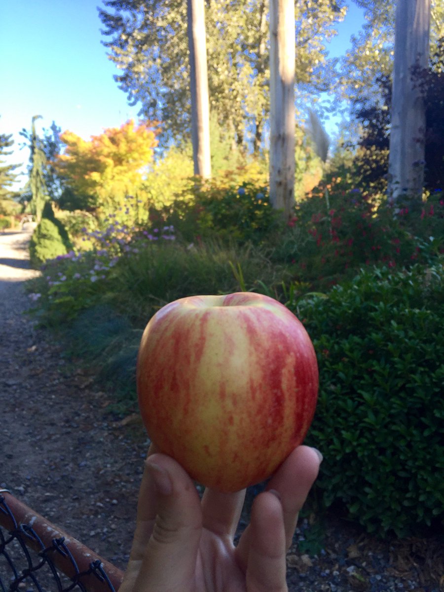 KaitlynHamner's tweet photo. Grateful to be working in such a beautiful setting! Happy #worldteacherday to all teachers old and new 🍎 https://t.co/5kzPp814iT