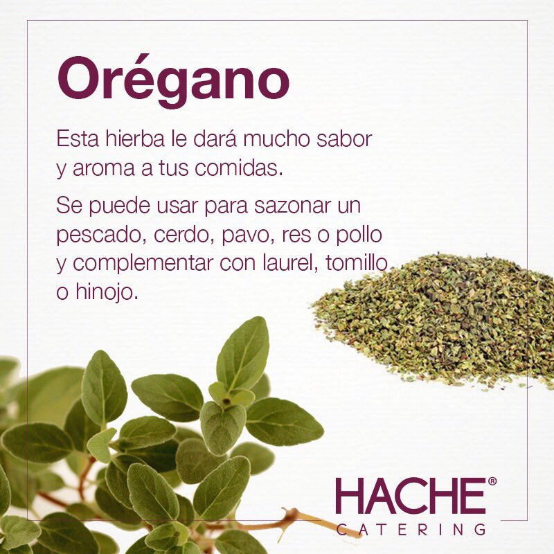 hachecatering's tweet photo. Para que tus platillos queden perfectos, te mostramos las hierbas que debes tener en tu cocina 🍃👩🏻‍🍳🍽🍃 #HacheTips https://t.co/iZ2cfQ17qu