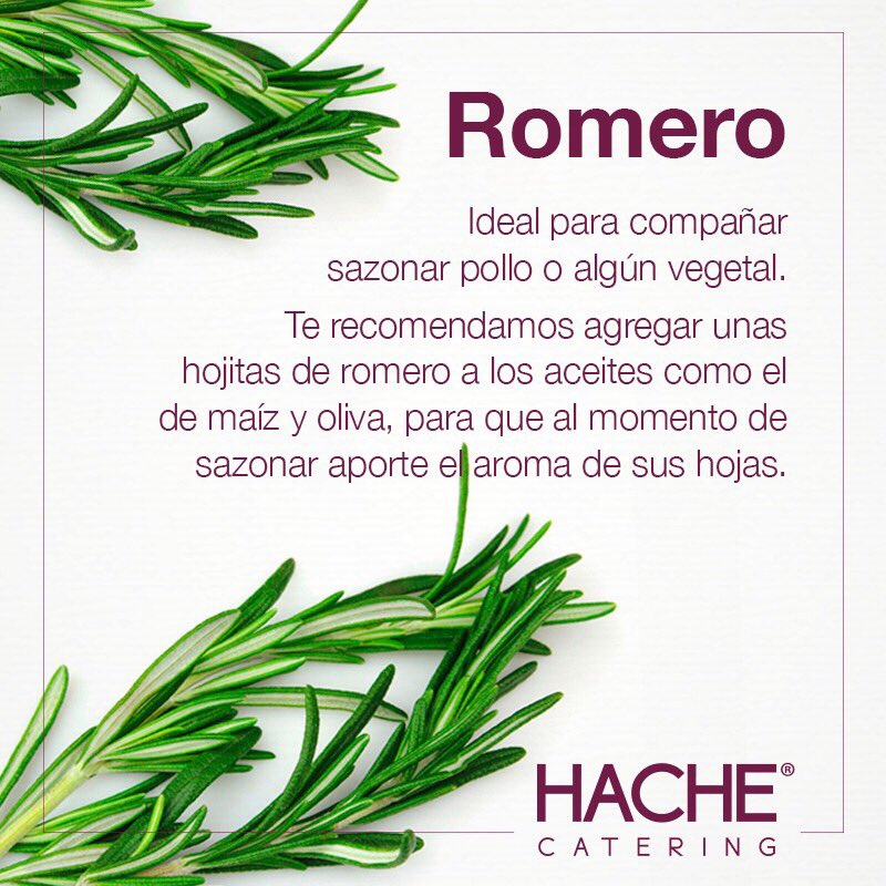 hachecatering's tweet photo. Para que tus platillos queden perfectos, te mostramos las hierbas que debes tener en tu cocina 🍃👩🏻‍🍳🍽🍃 #HacheTips https://t.co/iZ2cfQ17qu