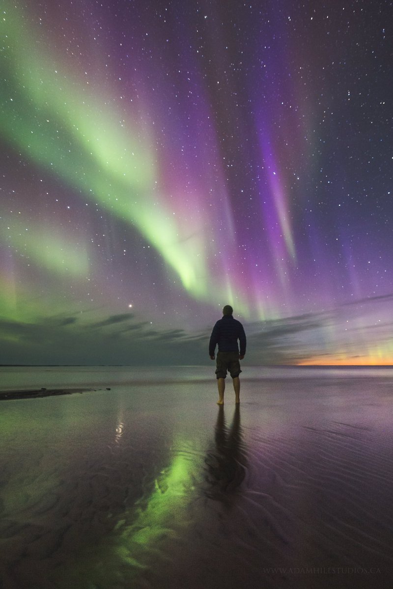 AdamHillPhoto's tweet image. #autumn in #Canada's north may be a short season but it certainly one worth seeing!