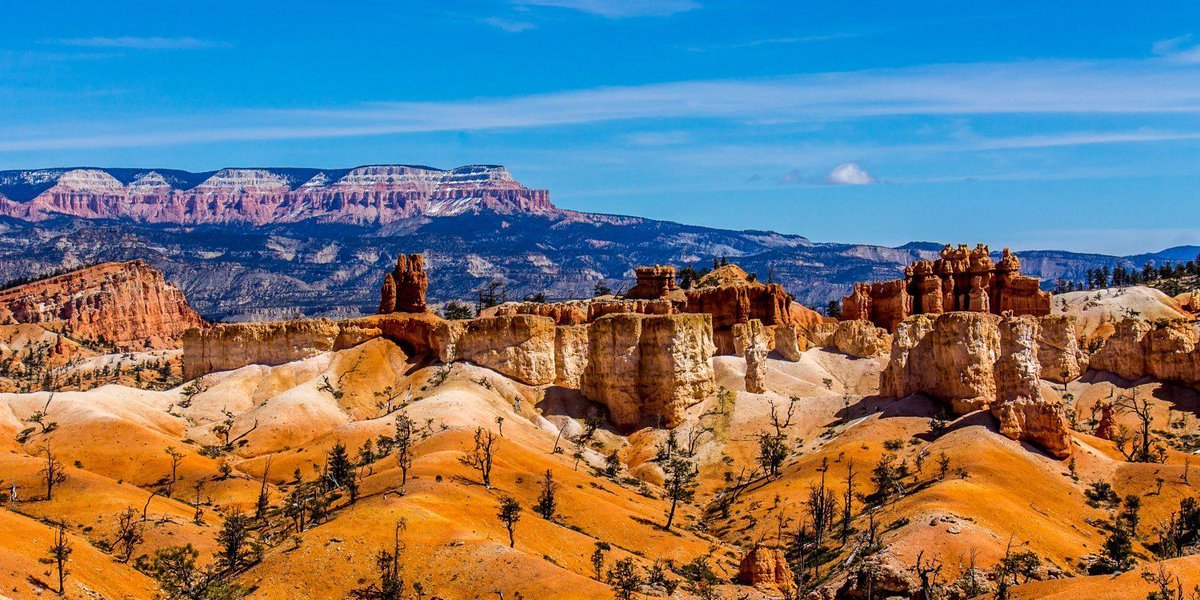 NPSPARKS100's tweet photo. Visit the parks, then #ExploreFiveMore on this 7-Day Itinerary for @ZionNPS and @BryceCanyonNPS: https://t.co/GZZ1YgL5lt #NPS101 https://t.co/zwST7NWMgD