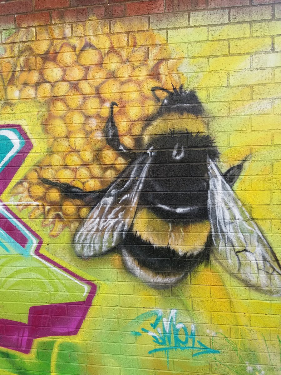 Neston_Primary_'s tweet image. Great work from a great artist and friend of the school @dime_one . Superb as ever. #whatdoesitsay #bees