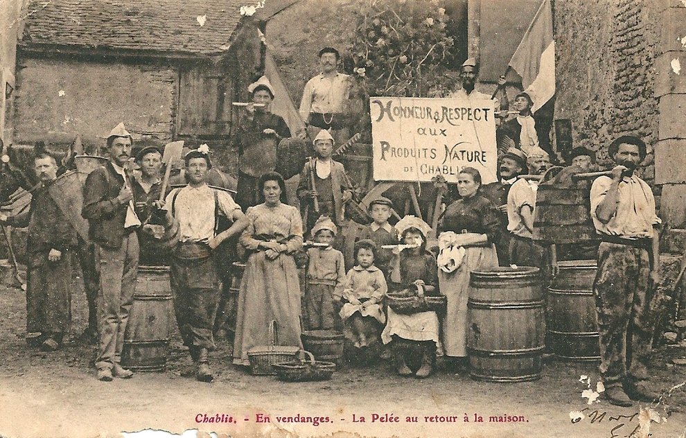 La Passion du Vin tweet media