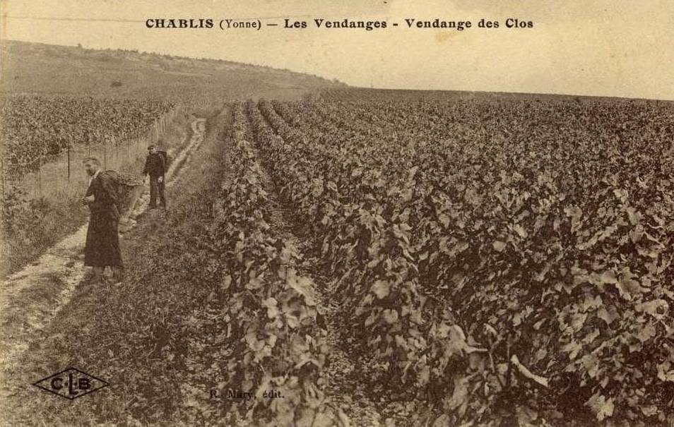 La Passion du Vin tweet media