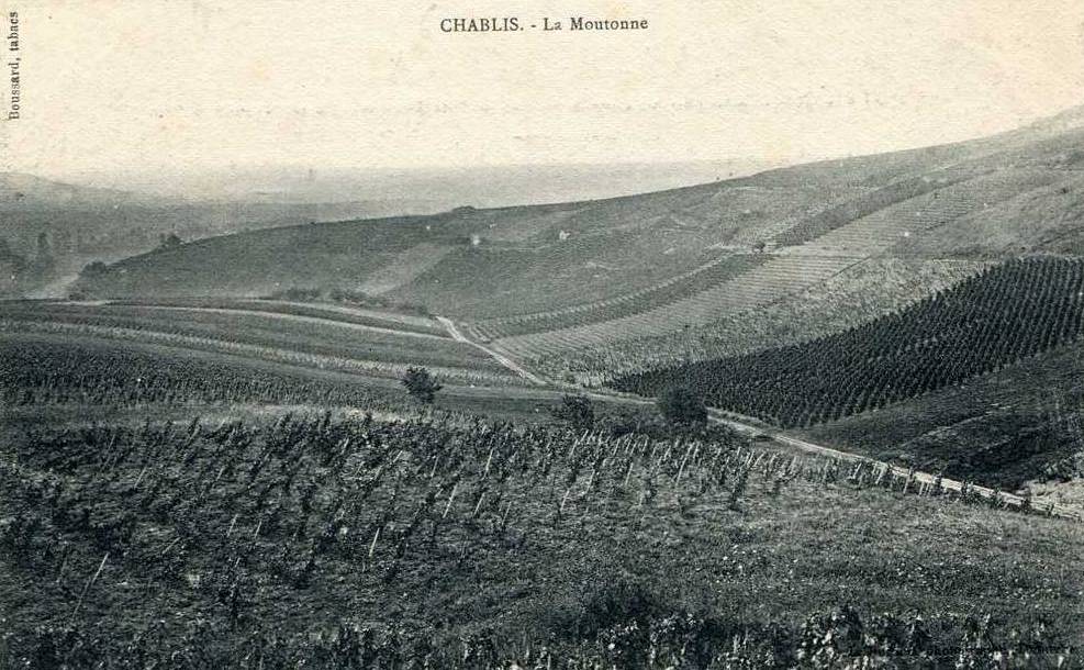 La Passion du Vin tweet media