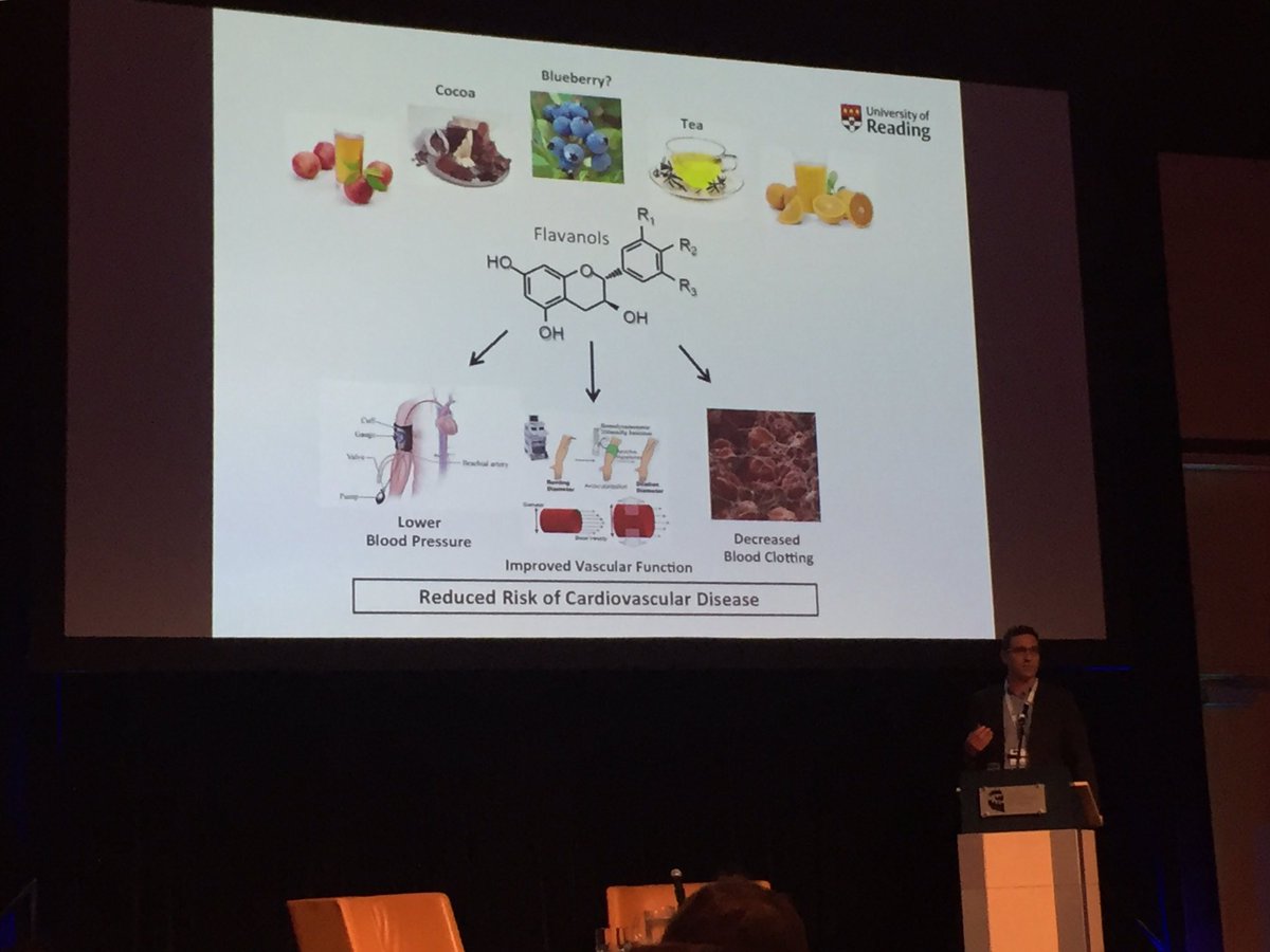 Prof Jeremy Spencer talking about the effects of smaller phenolics on vascular function. #icph2017 #quebec #canada #universityofreading