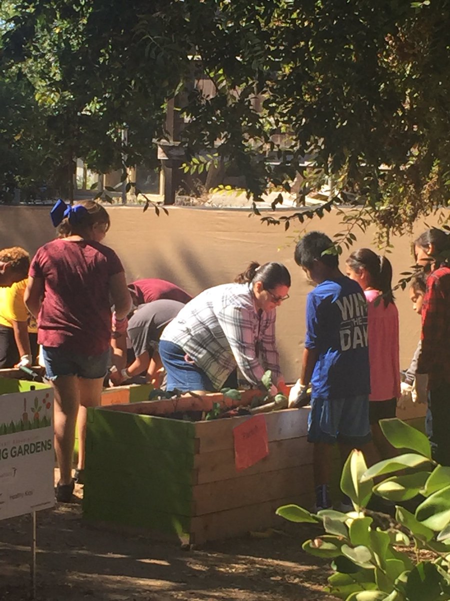 Kellogg planting day 2017!!