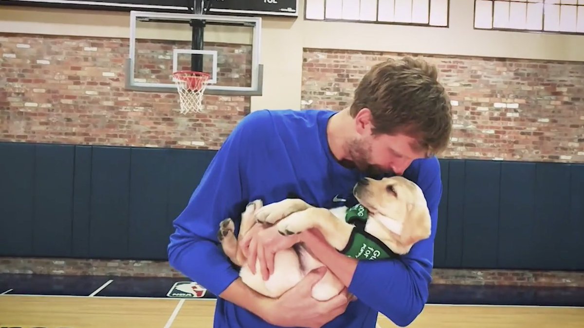 wfaa's tweet photo. ‘Swish the Puppy' is an adorable Mavs addition we didn't know we needed https://t.co/DOB5cE1Sw3 https://t.co/zndCNoAkpU