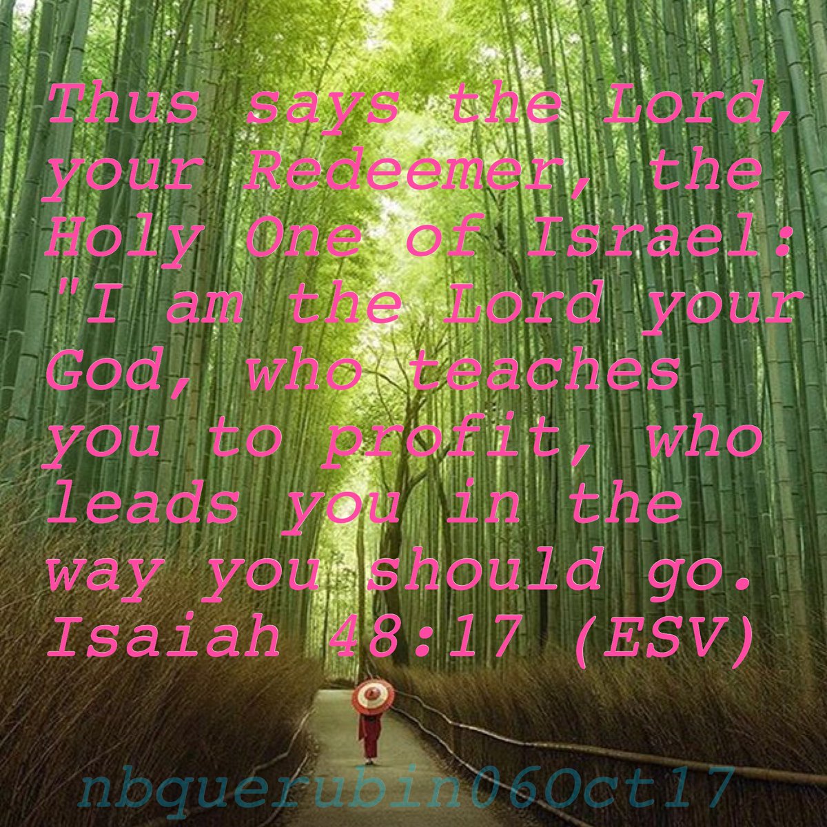 QuierAngel's tweet photo. #TrustGod🙏💙🙏💯💐#GodIsAlive🌟 #GodIsLove❤️#LoveGodAboveAll🌻🌹🌷#gratefulheart💚💛💗#alwaysgrateful💐💋💐#ToGodBeAllTheGlory👑#GodIsGoodAllTheTime💜 https://t.co/YttAB8ZScg
