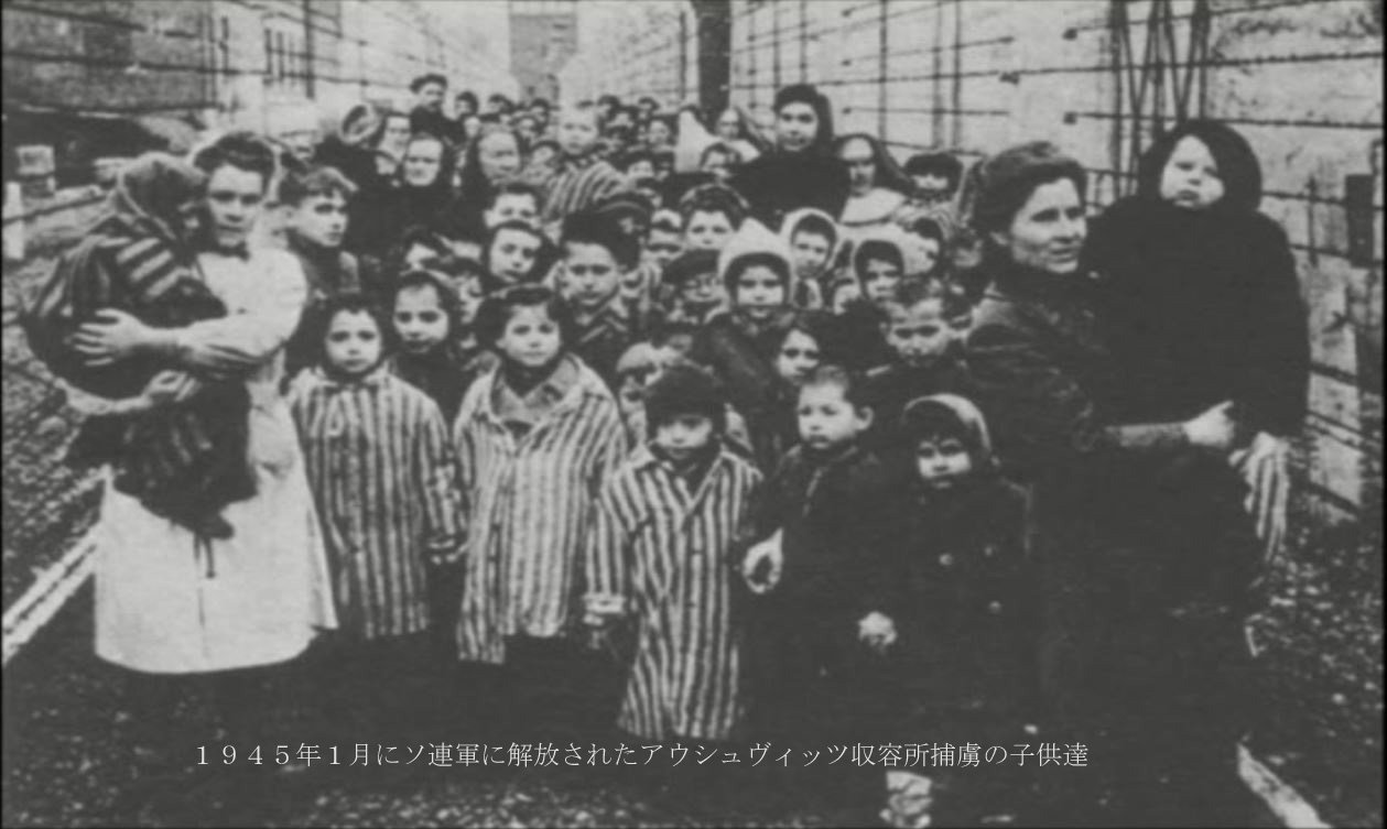 P 正史によると収容所に到着するとユダヤ人は女子供も含め即ガス殺されたが ２年間アウシュヴィッツに勤務したポーランド人 産婆は約3000人の捕虜の出産に携わったと証言している 収容所内には回転木馬や体操用の遊具等を揃えた幼稚園も設けられていた
