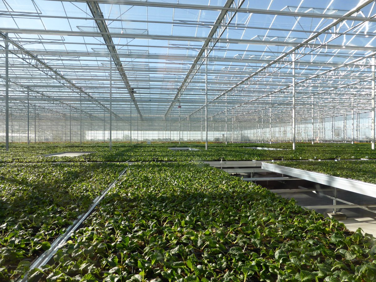 ForpLeeds's tweet photo. We've been privileged to have a sneak preview of @LeedsParks new The Arium plant nursery today- it looks amazing! Get yourself down there for opening weekend 7th/8th Oct 10-3:30 https://t.co/dPXLrlLsJT