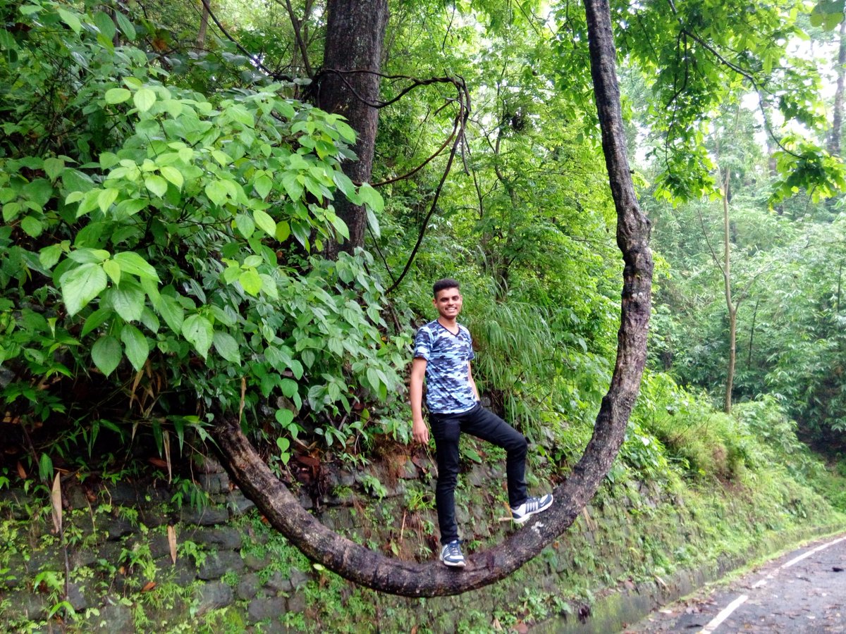 Travel_Osm's tweet photo. #Darjeeling https://t.co/bIBWGwQe4r