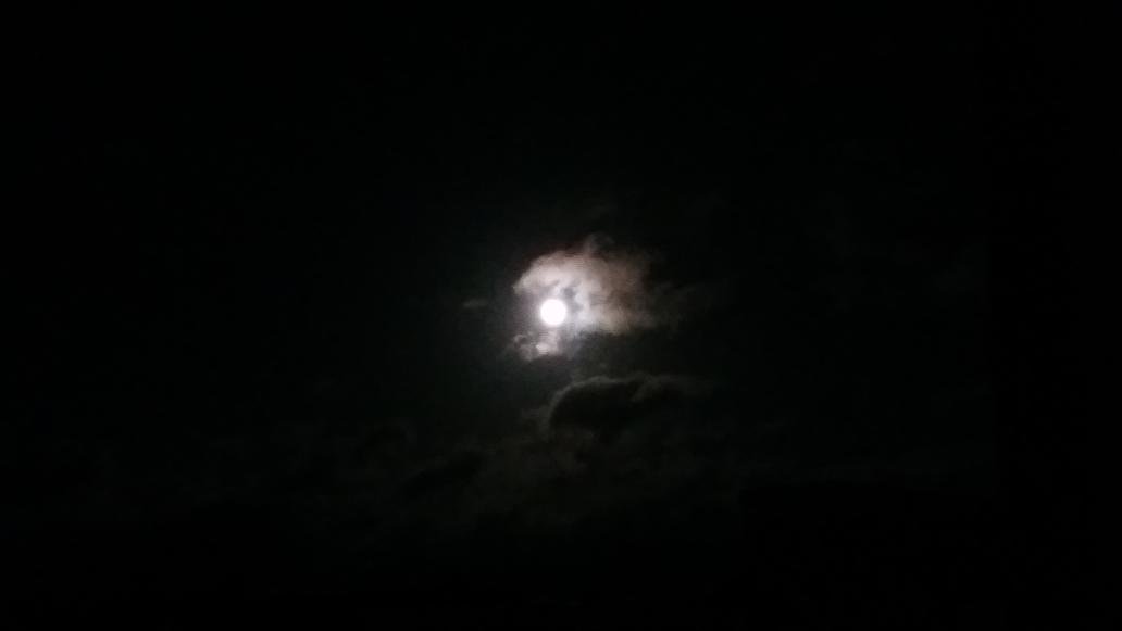 WerewolfKit's tweet photo. Soon. 🐺 #FullMoon #Awwwhuuu! 🌕 @vasja_romanow @Rudelpapi https://t.co/OdsMReMXjj