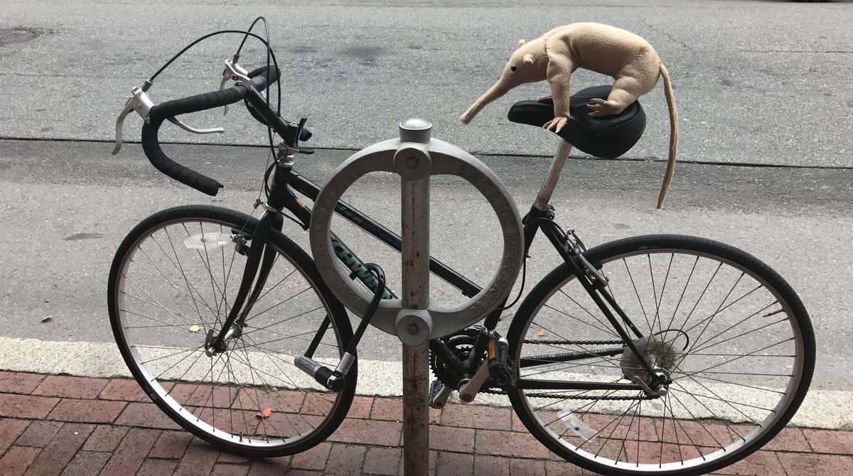 Does anyone know how to work this thing? I'm trying to get into schools across America!! 

crowdfunding.bu.edu/project/6431