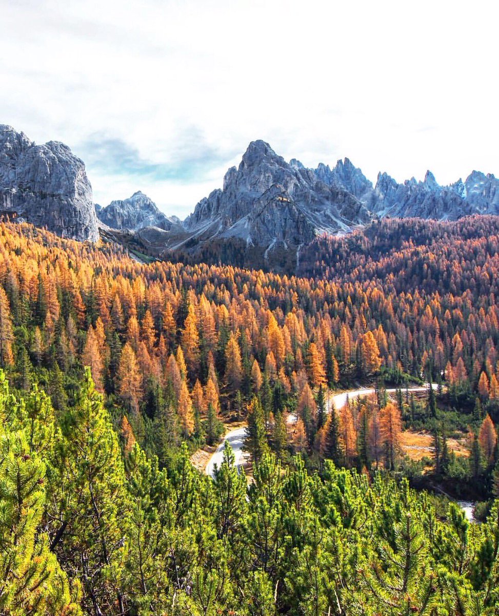 Venetissimo's tweet photo. 📍I mille colori dell’autunno tra gli alberi dei boschi delle #Dolomiti, andando verso le #TreCimeDiLavaredo (BL).

foto: Giulia Bottone https://t.co/pQqc5pTHCc