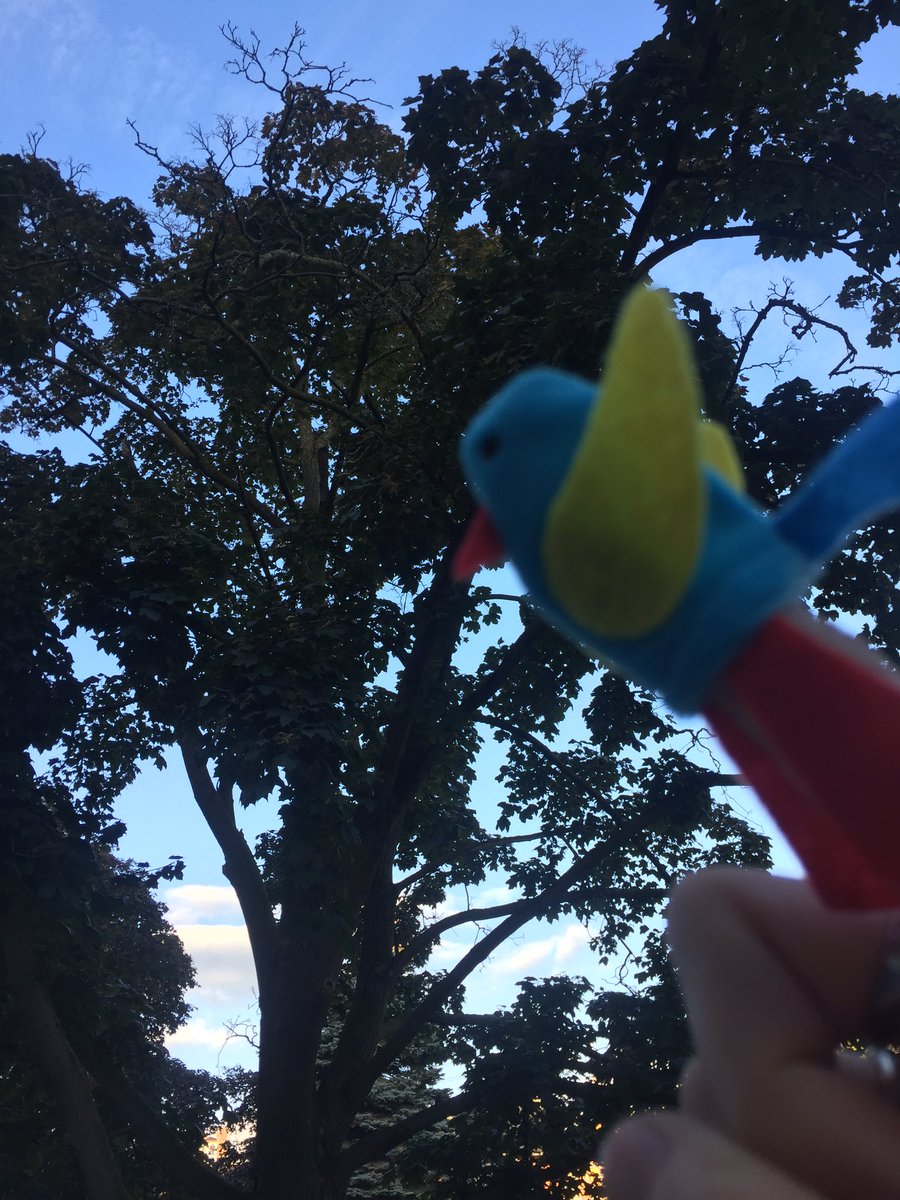 CanningJazmyn's tweet photo. Music class puppets #havefunwithlearning #tweettweet #luosocial https://t.co/KxShcfBuWm