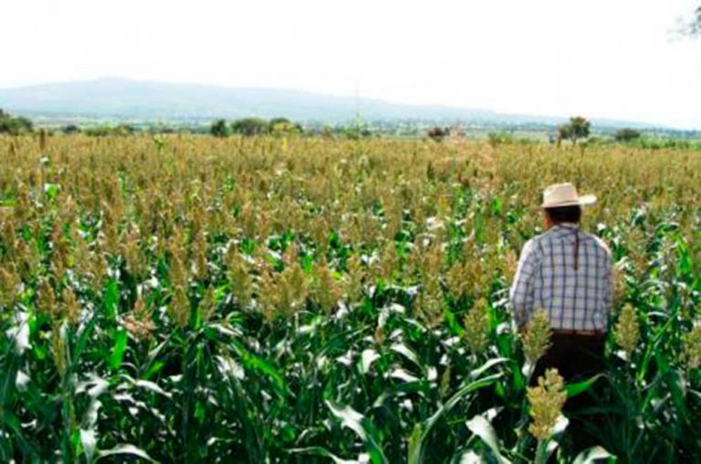 PromueveHidro's tweet photo. #NotaCompartida
Prevén ciclo agrícola favorable en Querétaro
Conoce más aquí: https://t.co/SrqgciurSG https://t.co/j5xe0FUMy5