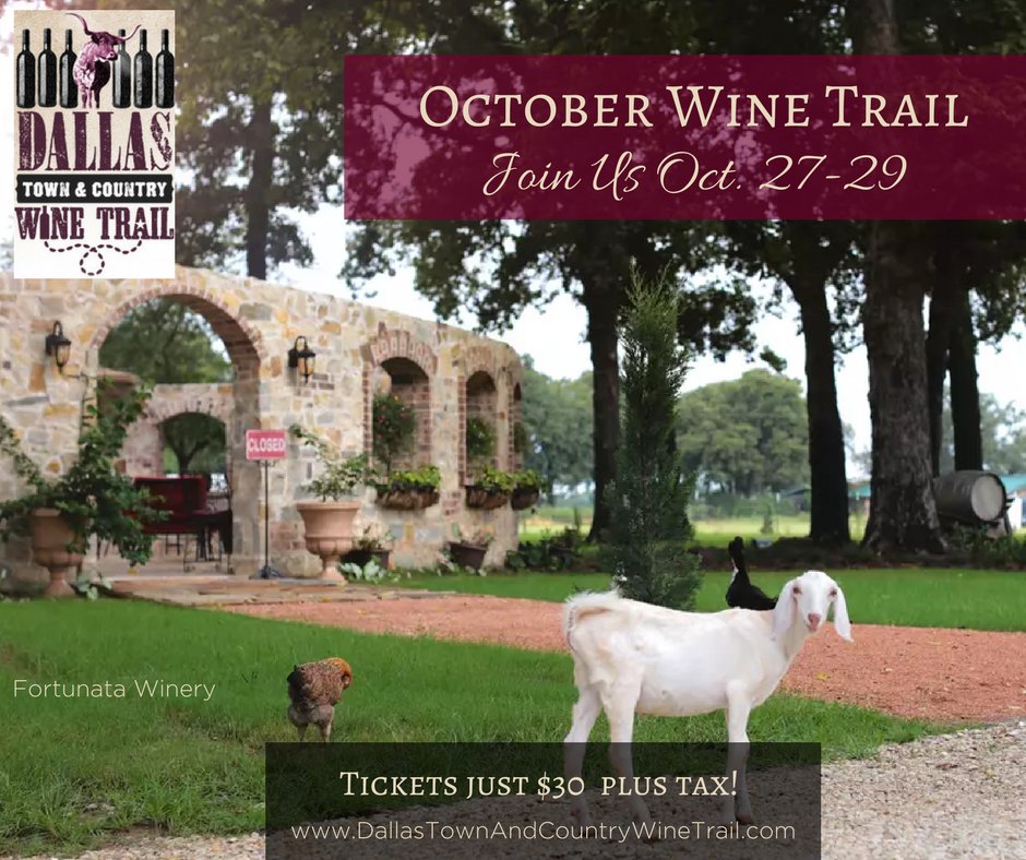 DallasTCWineTrl's tweet photo. Fortunata Winery is another relaxing stop on our #winetrail! 8 Wineries 3 tastes each for just $30 plus tax! https://t.co/Yfm5u20qjo https://t.co/lHy1D1dCeQ