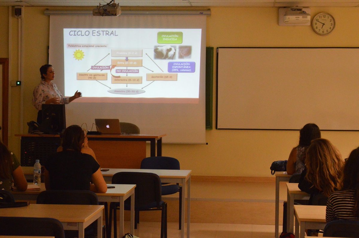 laeragatera's tweet photo. Ayer participamos en la Jornada Teórica sobre Felinos organizada por @AyamMurcia para recaudar para el #ProgramaCES  de los gatos de la @UMU https://t.co/C5rQ5zBGbT