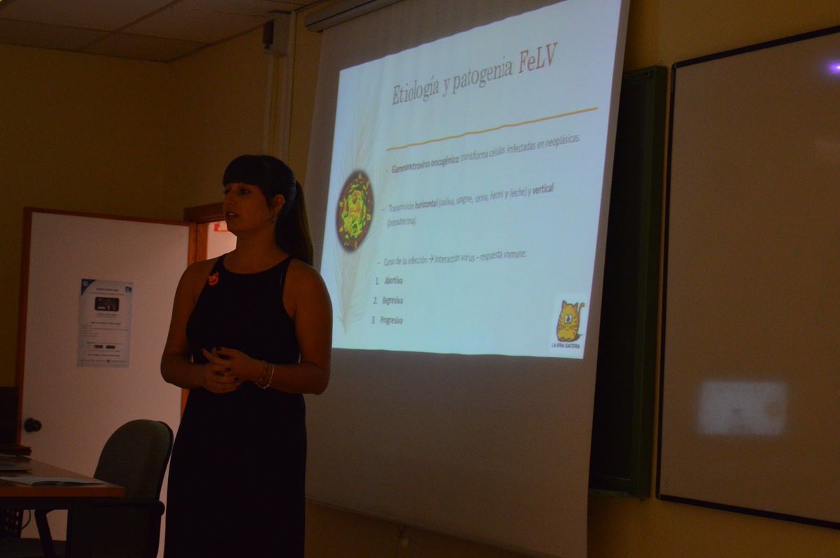 laeragatera's tweet photo. Ayer participamos en la Jornada Teórica sobre Felinos organizada por @AyamMurcia para recaudar para el #ProgramaCES  de los gatos de la @UMU https://t.co/C5rQ5zBGbT