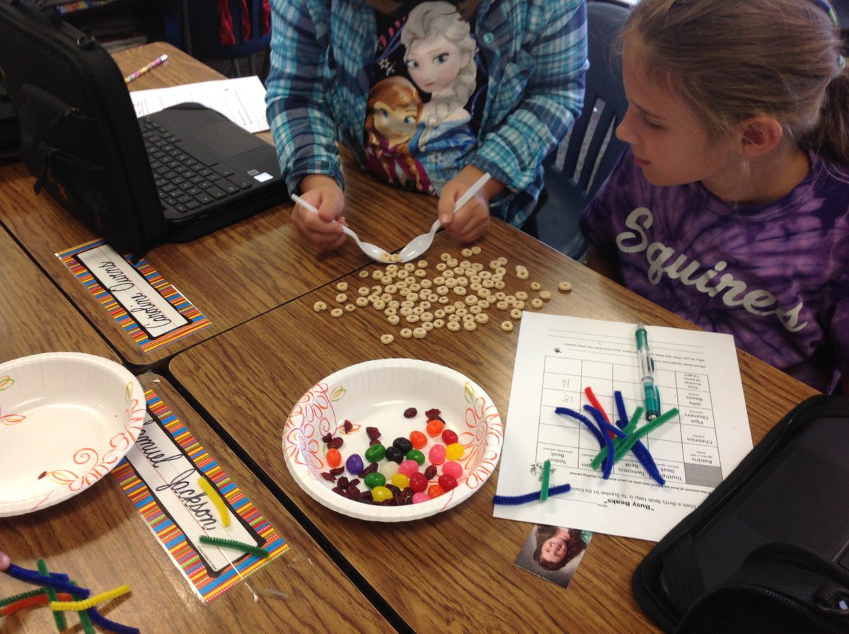 classhanback's tweet photo. Learning about bird beaks with #Busy Beaks #"Teacher Tom" on TPT @MIS_SocialMedia #science is fun https://t.co/1MO9e1KVzR