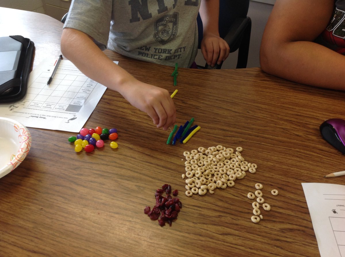 classhanback's tweet photo. Learning about bird beaks with #Busy Beaks #"Teacher Tom" on TPT @MIS_SocialMedia #science is fun https://t.co/1MO9e1KVzR