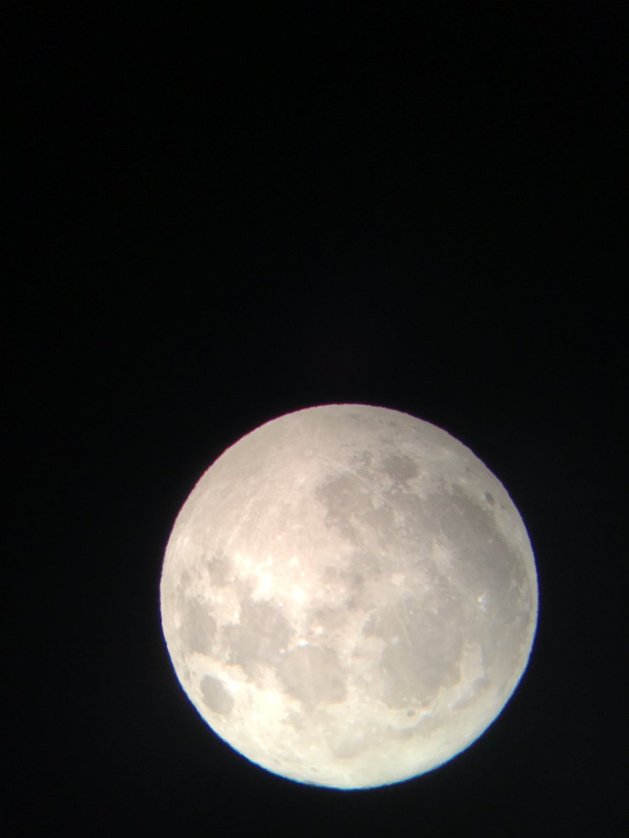 Ed_Durham's tweet image. 