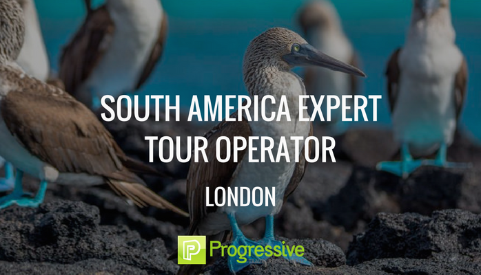 ProgTravelRec's tweet photo. SOUTH AMERICA EXPERT, LONDON
Tour op is hiring.
https://t.co/wUMy7p1BBB
#TourOperatorJobs #JobsInLondon #London #TravelJobsLondon https://t.co/yLnz4faDoM