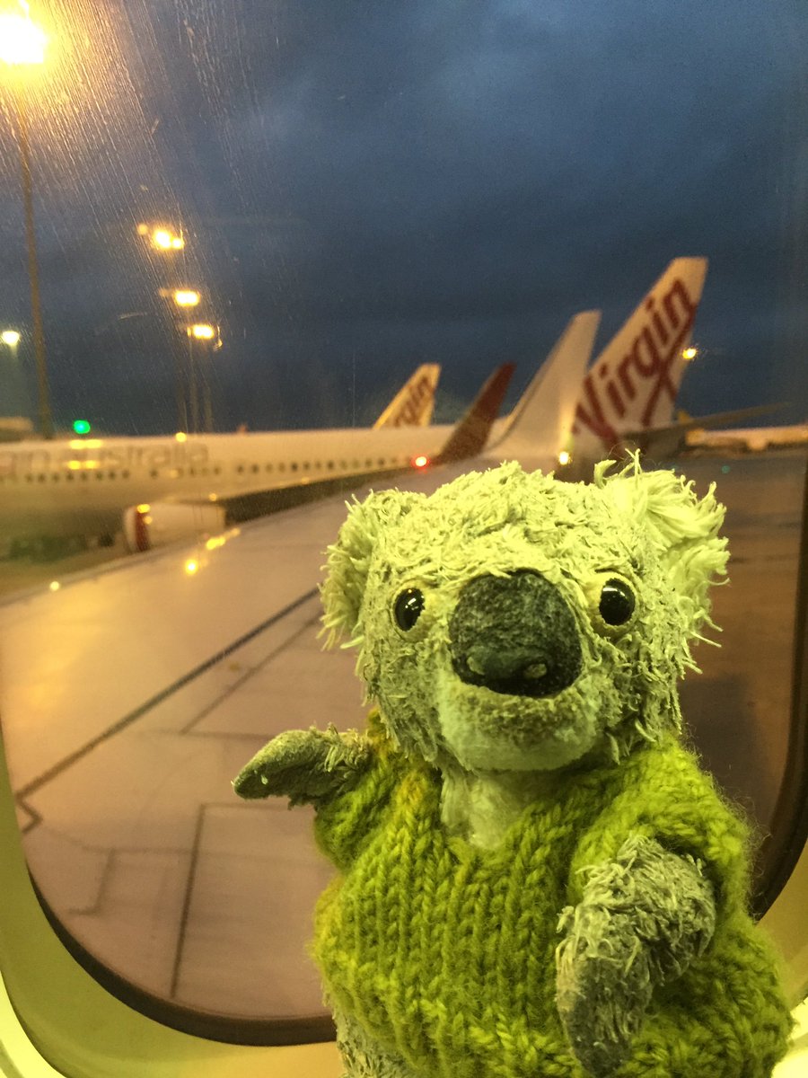 Brucekoalaandco's tweet image. Window seat, best seat! @VirginAustralia VA 257 MEL-CBR @MelbourneAir #overwing #urbankoala #ontour #boeing #virginaustralia